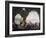 Scenes of Everyday Life in a Cave in Posillipo, Near Naples-Pietro Fragiacomo-Framed Giclee Print