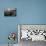 Scenes of NY-Eye Of The Mind Photography-Mounted Photographic Print displayed on a wall