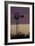 Scenic 59-Jeff Rasche-Framed Photographic Print