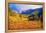 Scenic Aspen Lanscape-duallogic-Framed Premier Image Canvas