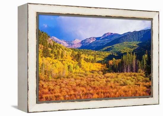 Scenic Aspen Lanscape-duallogic-Framed Premier Image Canvas