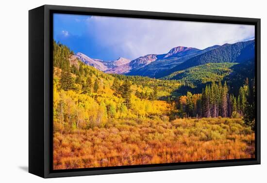 Scenic Aspen Lanscape-duallogic-Framed Premier Image Canvas