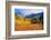 Scenic Aspen Lanscape-duallogic-Framed Photographic Print