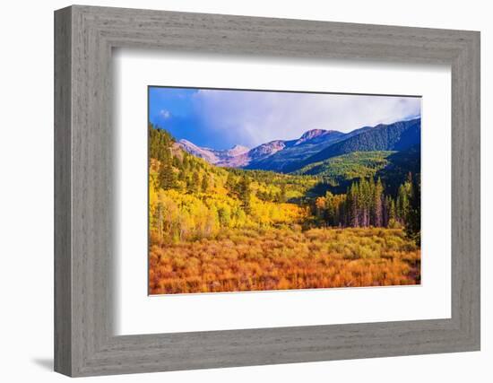 Scenic Aspen Lanscape-duallogic-Framed Photographic Print