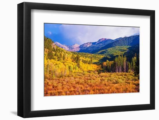 Scenic Aspen Lanscape-duallogic-Framed Photographic Print