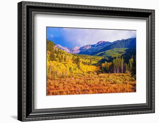 Scenic Aspen Lanscape-duallogic-Framed Photographic Print