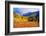 Scenic Aspen Lanscape-duallogic-Framed Photographic Print