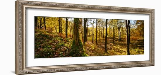 Scenic autumn forest, Grasmere, Lake District, Cumbria, England, United Kingdom-Panoramic Images-Framed Photographic Print