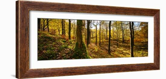 Scenic autumn forest, Grasmere, Lake District, Cumbria, England, United Kingdom-Panoramic Images-Framed Photographic Print