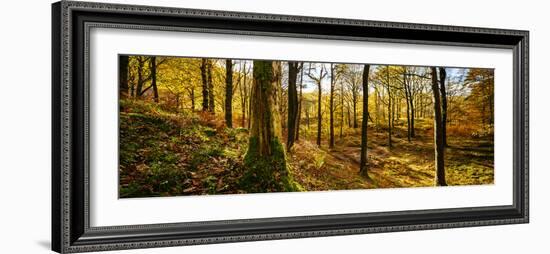 Scenic autumn forest, Grasmere, Lake District, Cumbria, England, United Kingdom-Panoramic Images-Framed Photographic Print