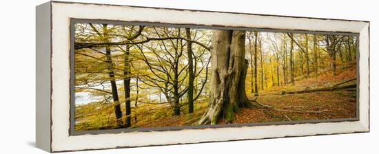 Scenic autumn forest, Grasmere, Lake District, Cumbria, England, United Kingdom-Panoramic Images-Framed Premier Image Canvas