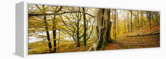 Scenic autumn forest, Grasmere, Lake District, Cumbria, England, United Kingdom-Panoramic Images-Framed Premier Image Canvas