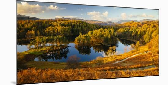 Scenic autumn landscape, Lake District, Cumbria, England, United Kingdom-Panoramic Images-Mounted Photographic Print