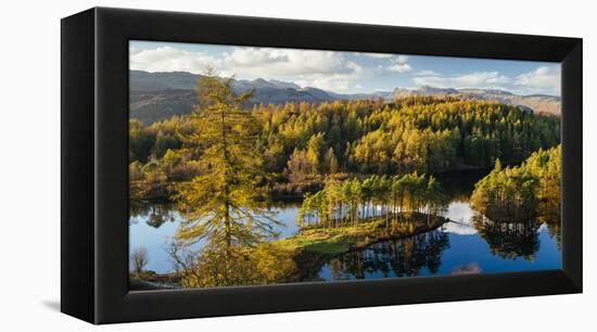 Scenic autumn landscape, Lake District, Cumbria, England, United Kingdom-Panoramic Images-Framed Premier Image Canvas