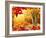 Scenic Autumnal View-Smileus-Framed Photographic Print