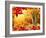 Scenic Autumnal View-Smileus-Framed Photographic Print