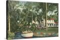 Stretched Canvas Print