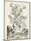 Scenic Botanical II-Abraham Munting-Mounted Art Print