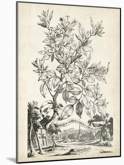 Scenic Botanical II-Abraham Munting-Mounted Art Print