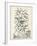 Scenic Botanical IV-Abraham Munting-Framed Art Print