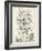 Scenic Botanical IV-Abraham Munting-Framed Art Print