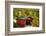 Scenic Covered Bridg, Arlington, Vermont-George Oze-Framed Photographic Print