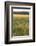 Scenic crop of barley, Vexin Region, Normandy, France-Jim Engelbrecht-Framed Photographic Print