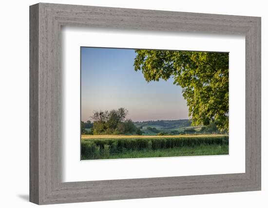 Scenic crop of barley, Vexin Region, Normandy, France-Lisa S. Engelbrecht-Framed Photographic Print