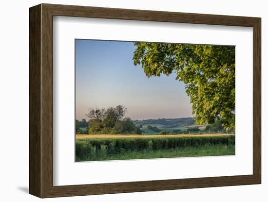 Scenic crop of barley, Vexin Region, Normandy, France-Lisa S. Engelbrecht-Framed Photographic Print