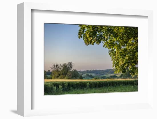 Scenic crop of barley, Vexin Region, Normandy, France-Lisa S. Engelbrecht-Framed Photographic Print