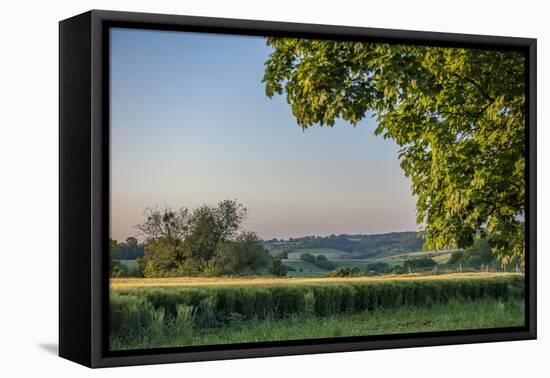 Scenic crop of barley, Vexin Region, Normandy, France-Lisa S. Engelbrecht-Framed Premier Image Canvas
