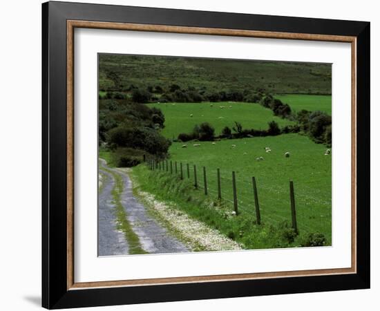 Scenic Dirt Road with Wildflowers, County Cork, Ireland-Marilyn Parver-Framed Photographic Print