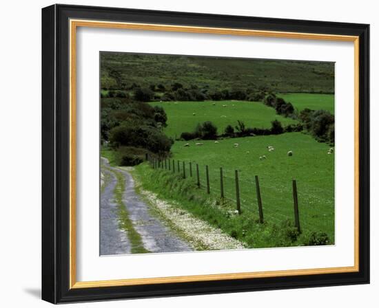 Scenic Dirt Road with Wildflowers, County Cork, Ireland-Marilyn Parver-Framed Photographic Print