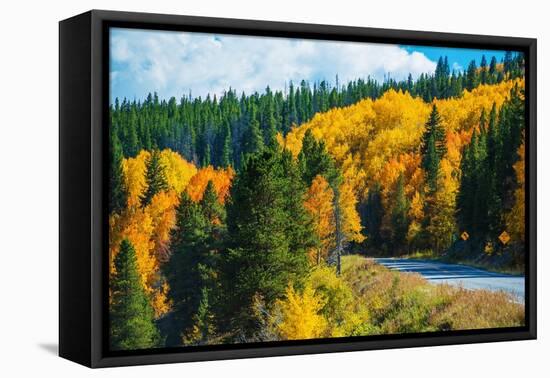 Scenic Fall Colorado Road-duallogic-Framed Premier Image Canvas