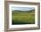 Scenic field, Vexin Region, Normandy, France-Lisa S. Engelbrecht-Framed Photographic Print
