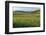 Scenic field, Vexin Region, Normandy, France-Lisa S. Engelbrecht-Framed Photographic Print