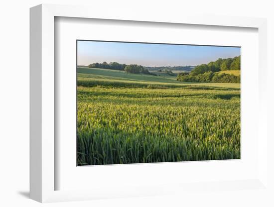 Scenic field, Vexin Region, Normandy, France-Lisa S. Engelbrecht-Framed Photographic Print