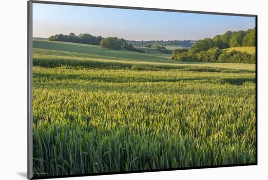 Scenic field, Vexin Region, Normandy, France-Lisa S. Engelbrecht-Mounted Photographic Print