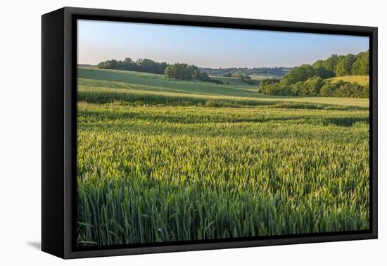 Scenic field, Vexin Region, Normandy, France-Lisa S. Engelbrecht-Framed Premier Image Canvas