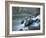Scenic Image of Salmon River, Idaho.-Justin Bailie-Framed Photographic Print