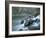 Scenic Image of Salmon River, Idaho.-Justin Bailie-Framed Photographic Print