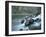 Scenic Image of Salmon River, Idaho.-Justin Bailie-Framed Photographic Print