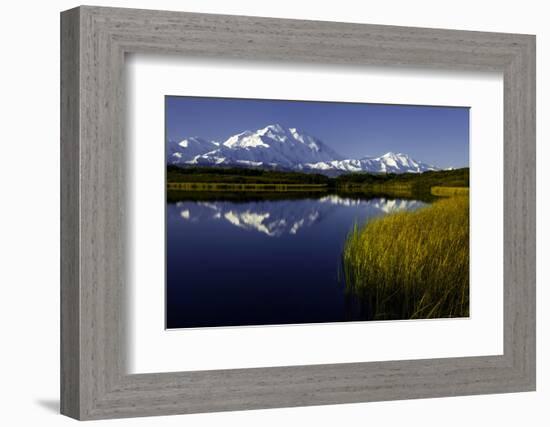 Scenic Lake View of Mt McKinley, Denali National Park, Alaska, USA-Jerry Ginsberg-Framed Photographic Print