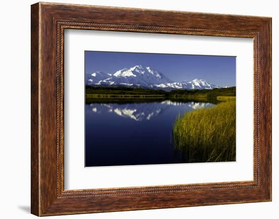 Scenic Lake View of Mt McKinley, Denali National Park, Alaska, USA-Jerry Ginsberg-Framed Photographic Print