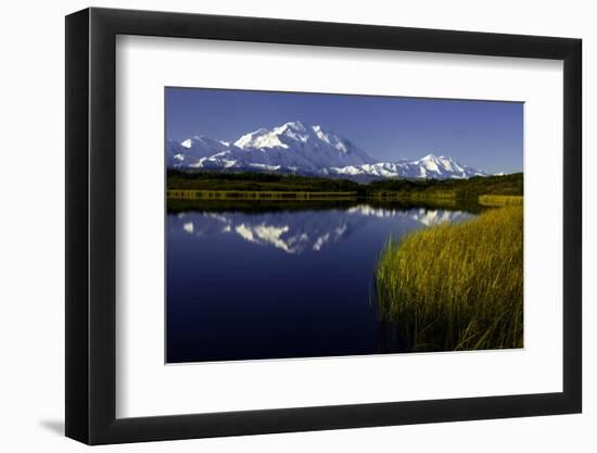 Scenic Lake View of Mt McKinley, Denali National Park, Alaska, USA-Jerry Ginsberg-Framed Photographic Print