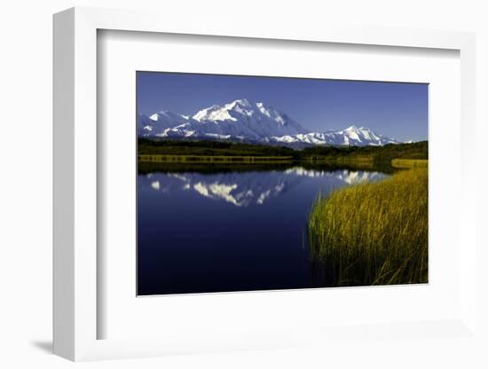Scenic Lake View of Mt McKinley, Denali National Park, Alaska, USA-Jerry Ginsberg-Framed Photographic Print