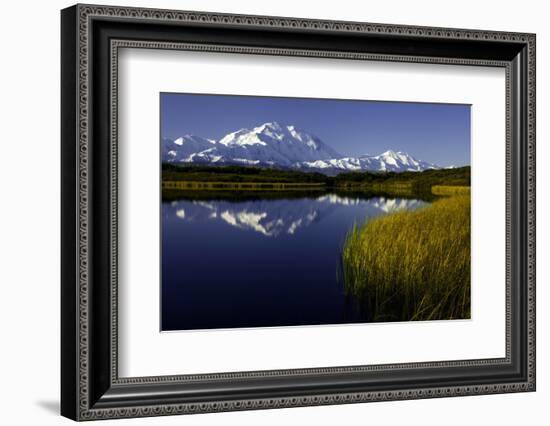 Scenic Lake View of Mt McKinley, Denali National Park, Alaska, USA-Jerry Ginsberg-Framed Photographic Print