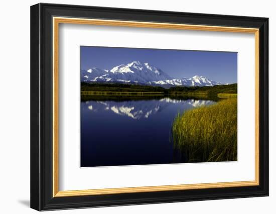 Scenic Lake View of Mt McKinley, Denali National Park, Alaska, USA-Jerry Ginsberg-Framed Photographic Print