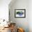 Scenic Lakeview-Joshua Schicker-Framed Giclee Print displayed on a wall