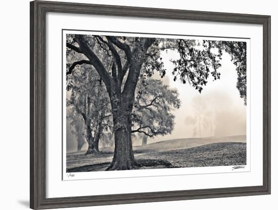 Scenic Oak-Donald Satterlee-Framed Giclee Print